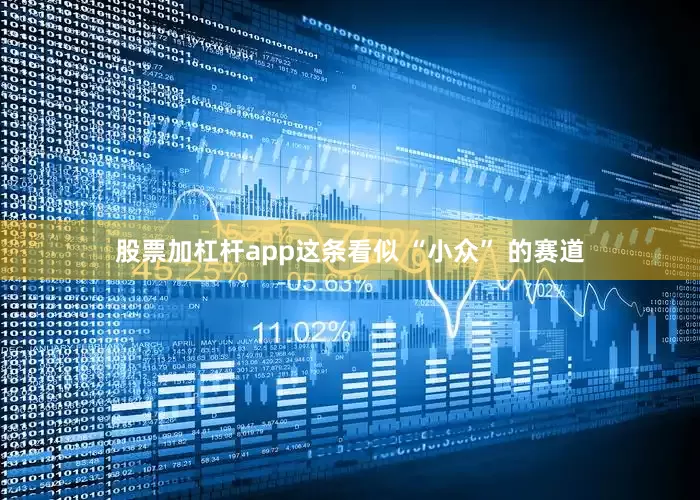 股票加杠杆app这条看似 “小众” 的赛道