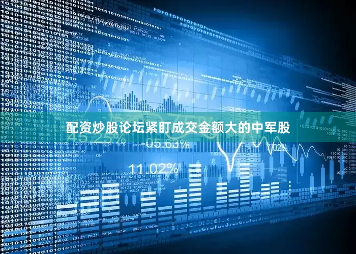 配资炒股论坛紧盯成交金额大的中军股